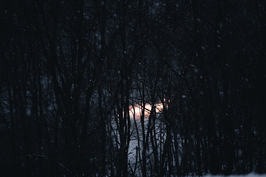 ファイナルファンタジーvii リメイク