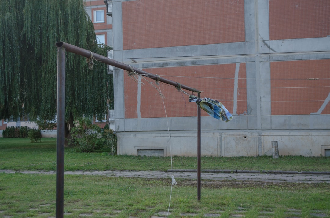 サイゼリヤ メニュー