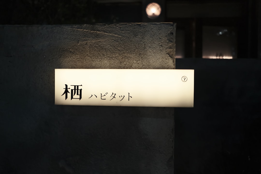 木村文乃 ラウール