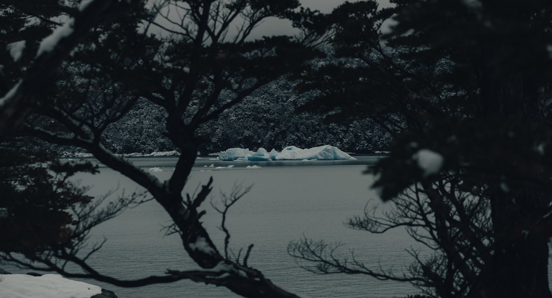 ばけばけ 池脇千鶴