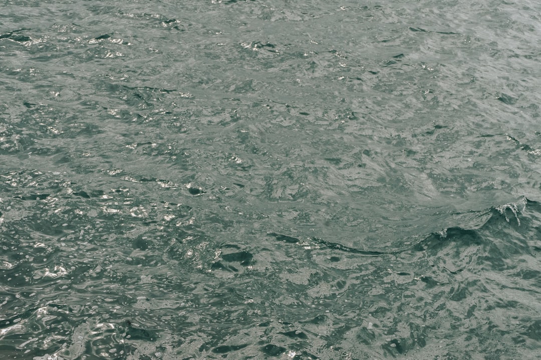 救命胴衣 釣り つり フローティング ベスト 救命 水遊び 海 ビーチ プール 大人用 夏用品 海水浴 安全 事故防止 防災用 海釣り 防災グッズ スタイリッシュ 鮎釣り 初心者 渓流釣り 魚釣り 川釣り 防災用品 船釣り aaa