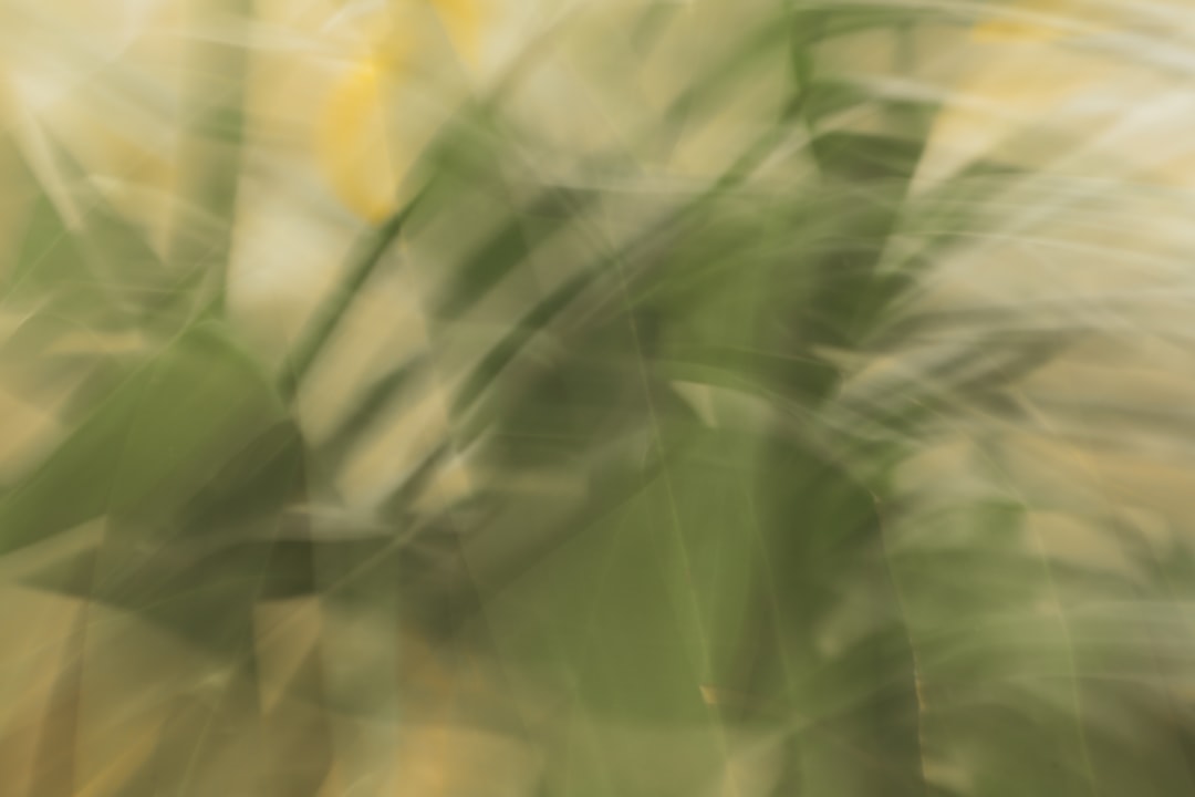 翌日発送 SNSで話題 踊るサボテン おもちゃ ダンスサボテン 揺動サボテン 面白い かわいい 笑い 友達 プレゼント 子供 悪趣味 歌 英語 緑 笑いもの 爆笑 踊るサボテン おもちゃ ダンスサボテン 揺動サボテン ぬいぐるみ いたずら 英語 緑 笑い