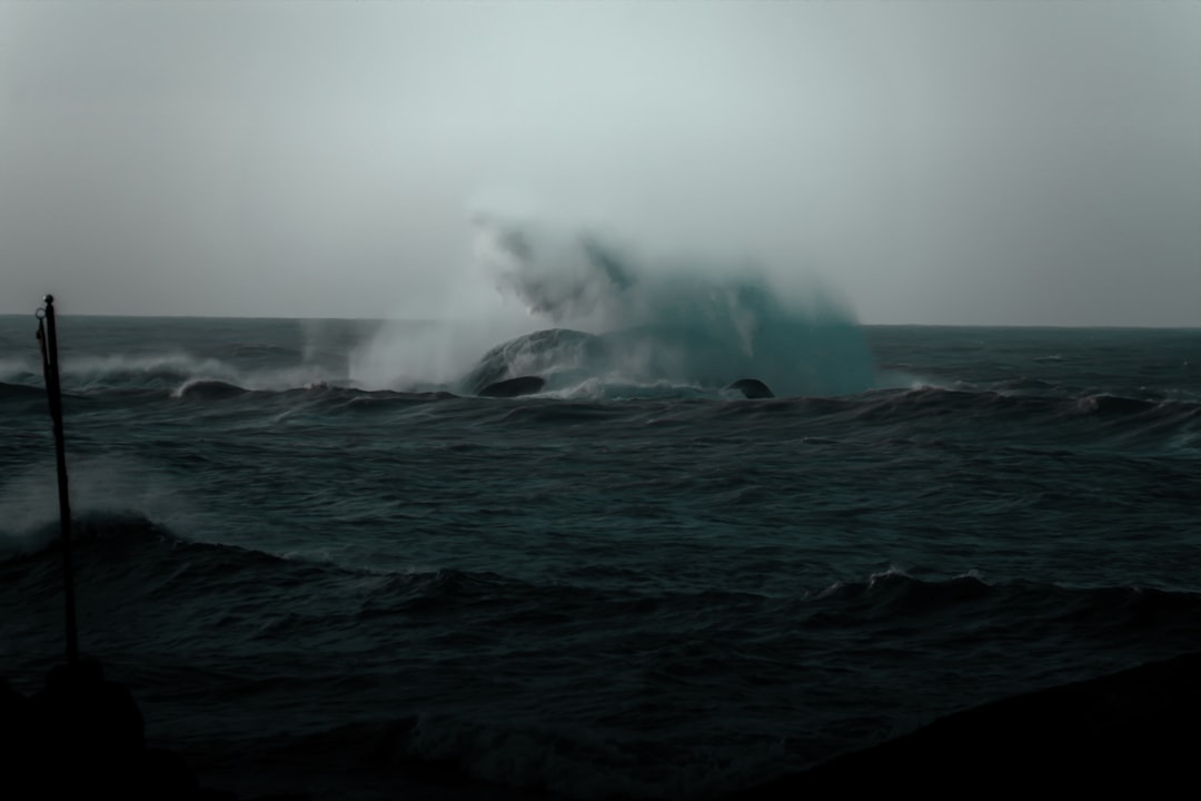 津波予報(若干の海面変動)