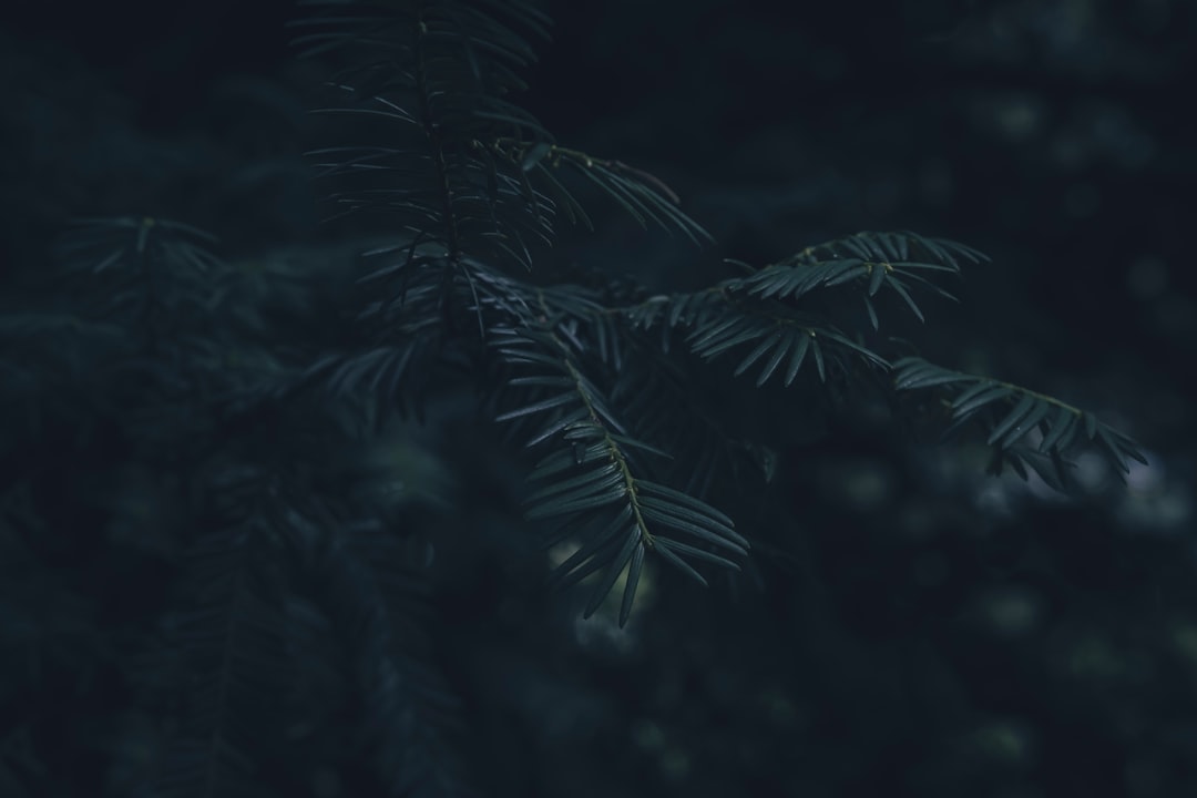 エレガント人生