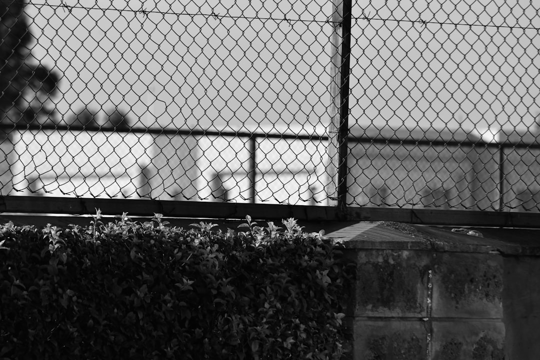 【バレーボール西田有志選手 愛用ブランド】ザムスト(ZAMST) 太ももサポーター バスケ バレー サッカー テニス ランニング スポーツ全般 日常生活 左右兼用