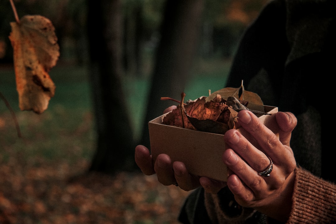 ファミチキ食べ放題