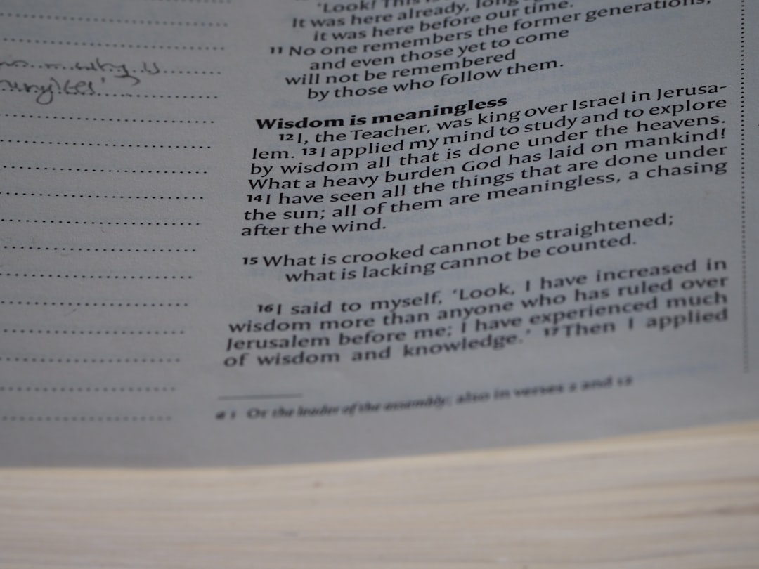 給付 付き 税額 控除