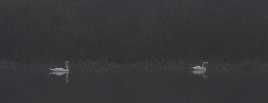 ブレイキングダウン17 結果