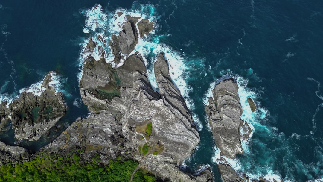 南海トラフ巨大地震