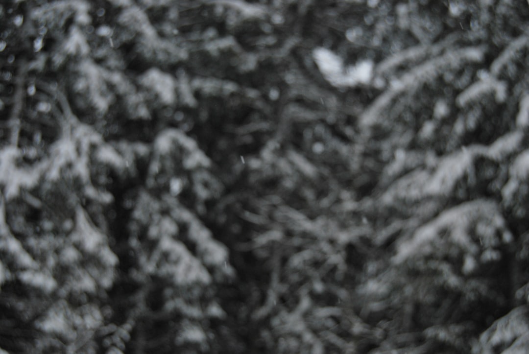 パドレス 対 ブルワーズ