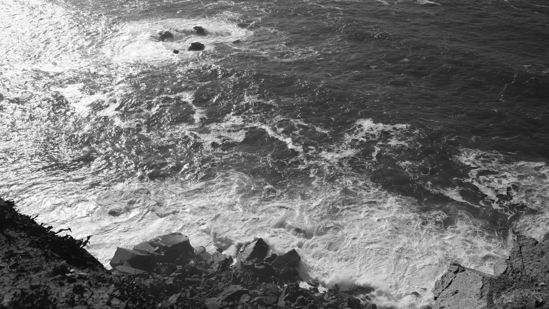 南海トラフ巨大地震