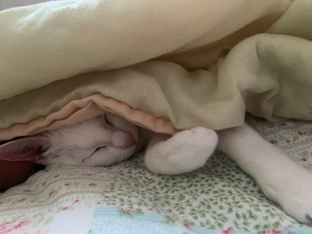 朝ドラ あんぱん 最終 回