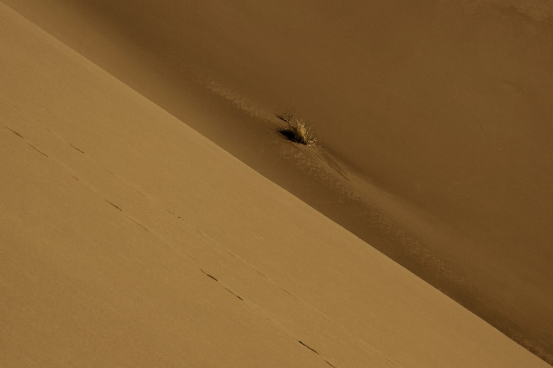 最強ちゃん ゴキブリ