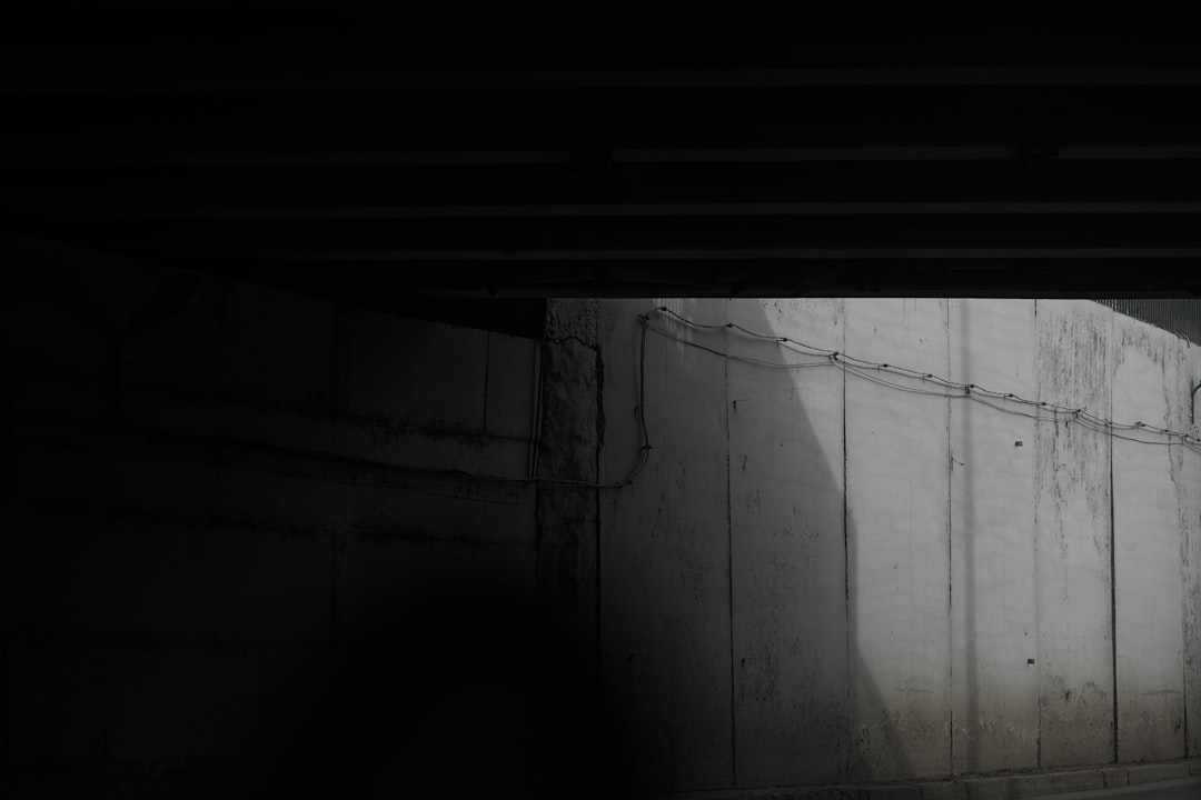 ユニクロ ニードルス