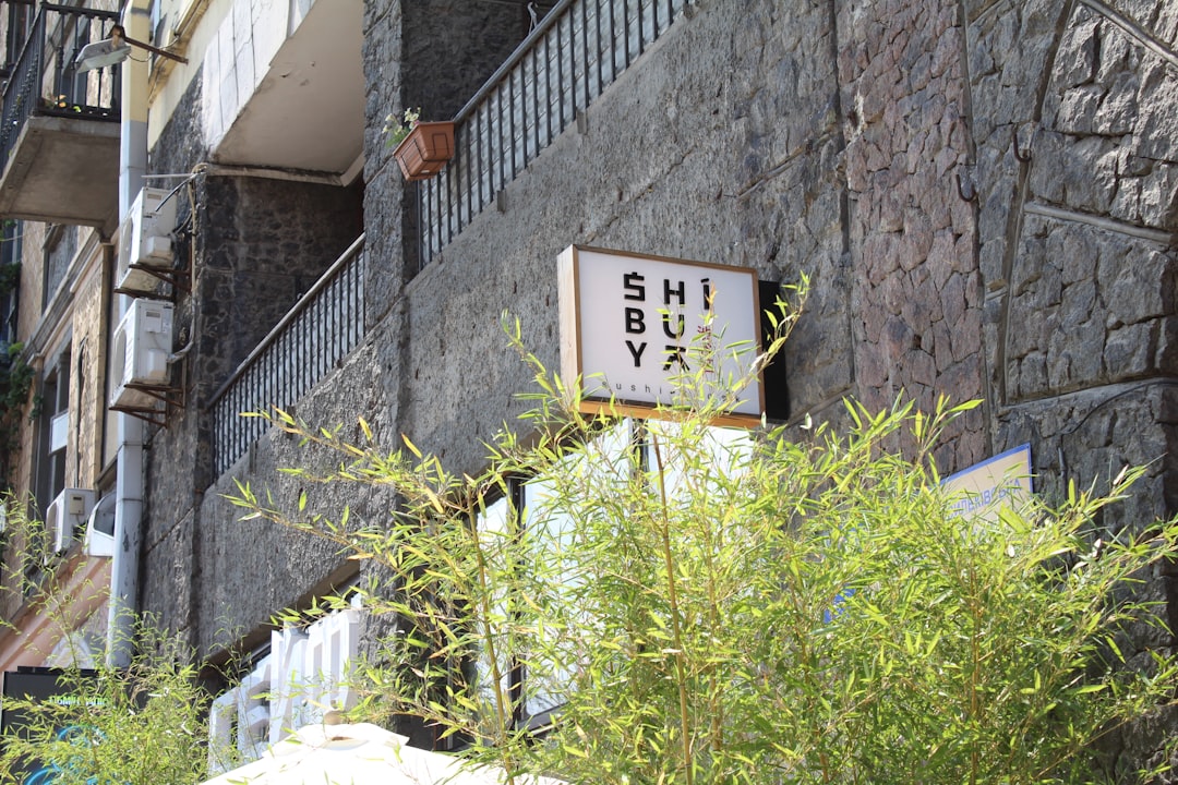 自民党総裁選 小泉進次郎