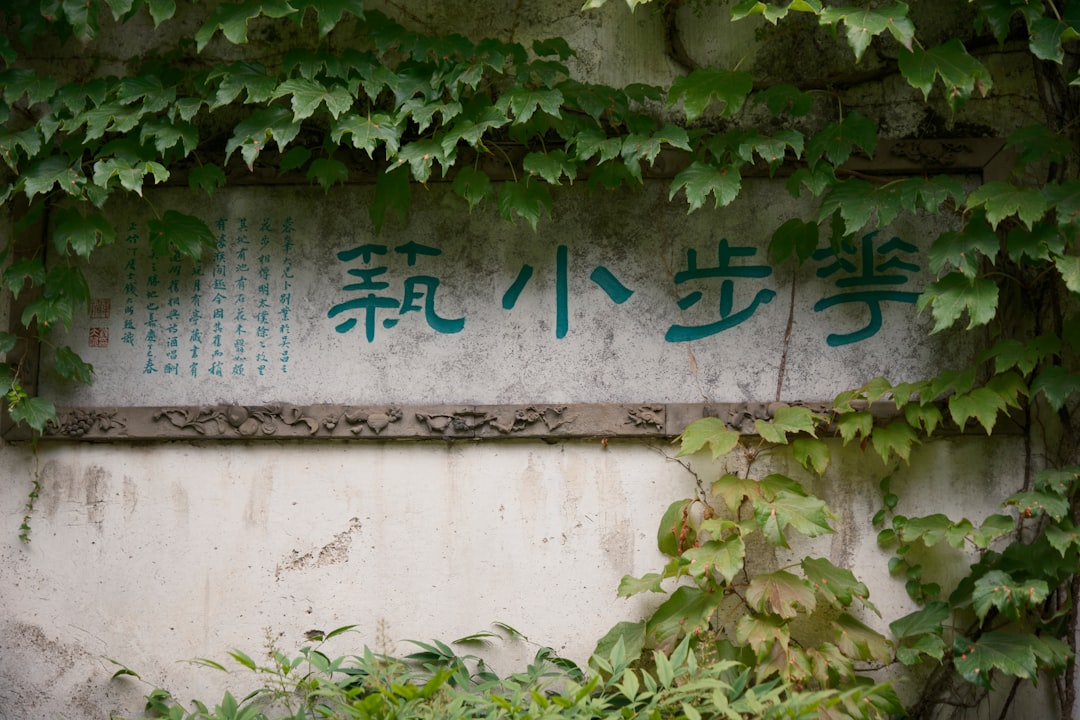 自民党総裁選 小泉進次郎