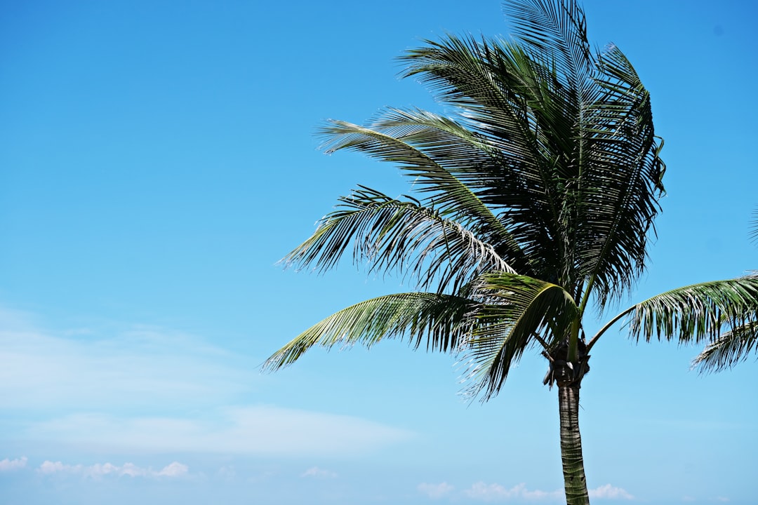 熱帯低気圧 台風 発生