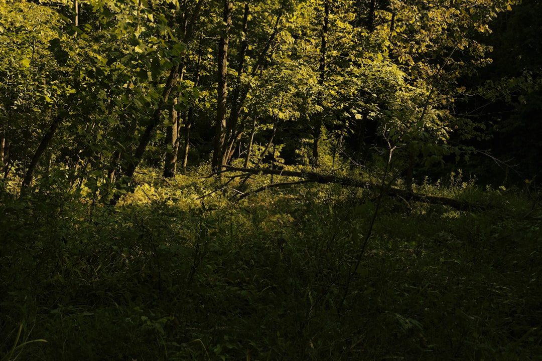 ロバートレッドフォード