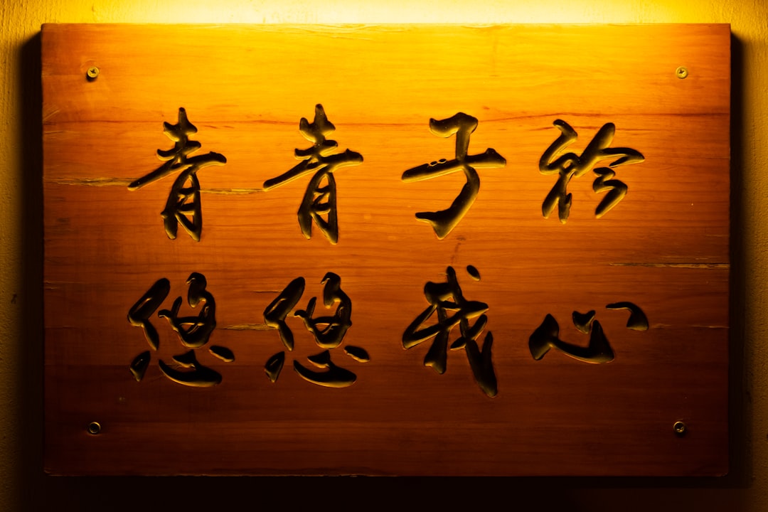 木村文乃 ラウール