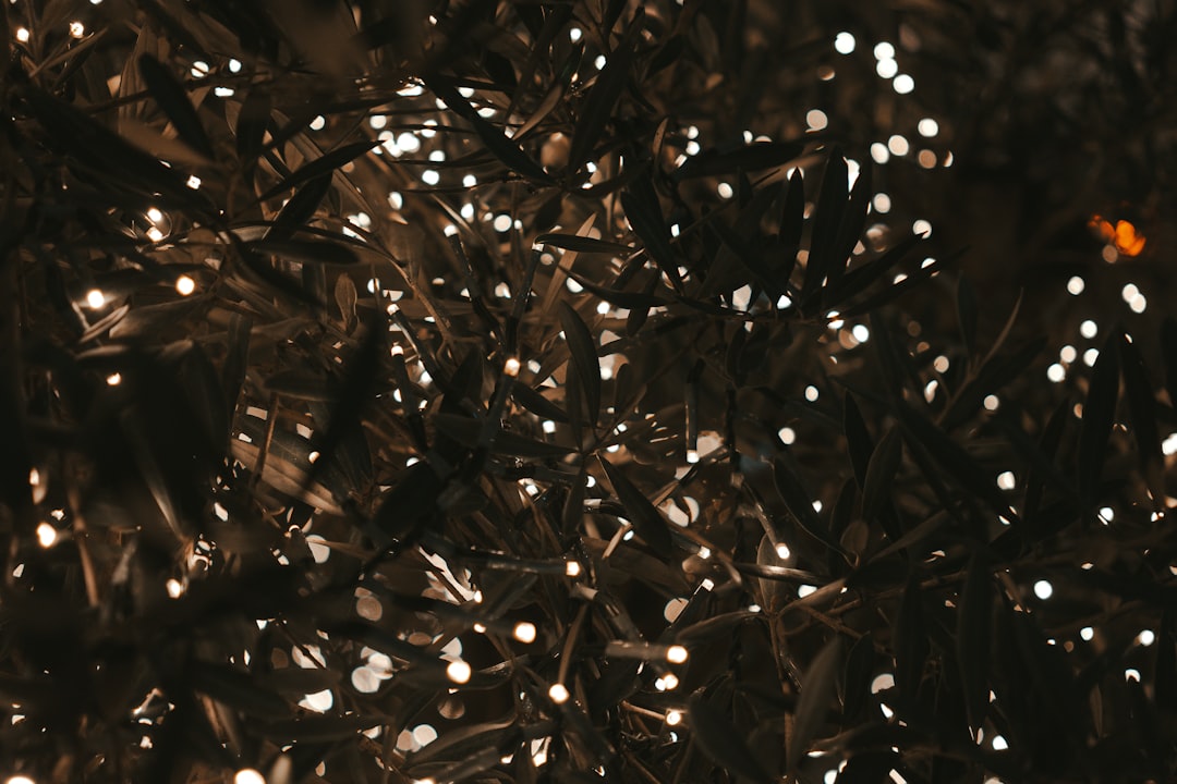 パドレス 対 ブルワーズ