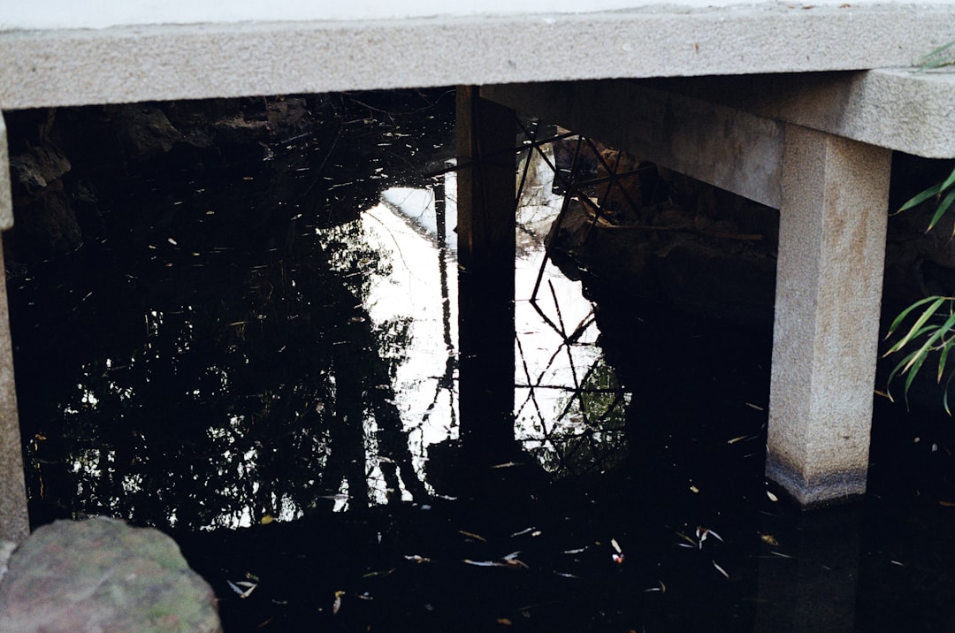 ばけばけ 池脇千鶴