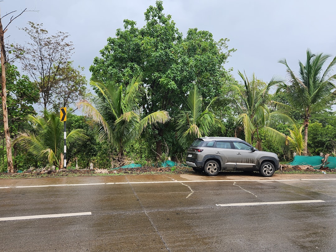 熱帯低気圧 台風 発生