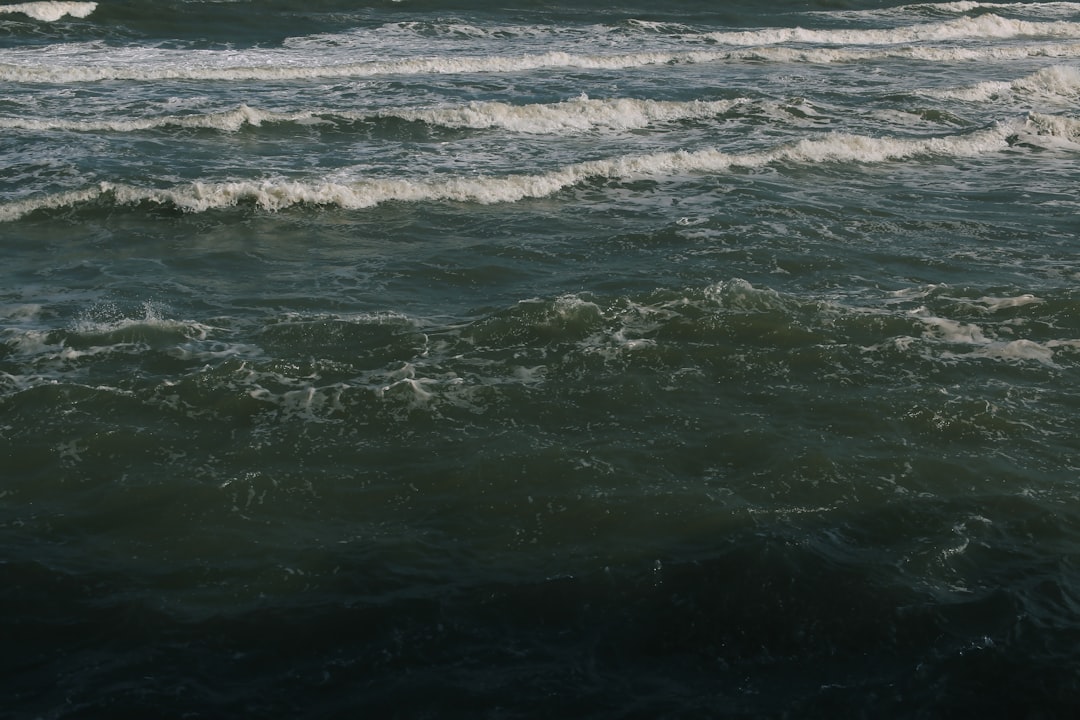 津波予報(若干の海面変動)