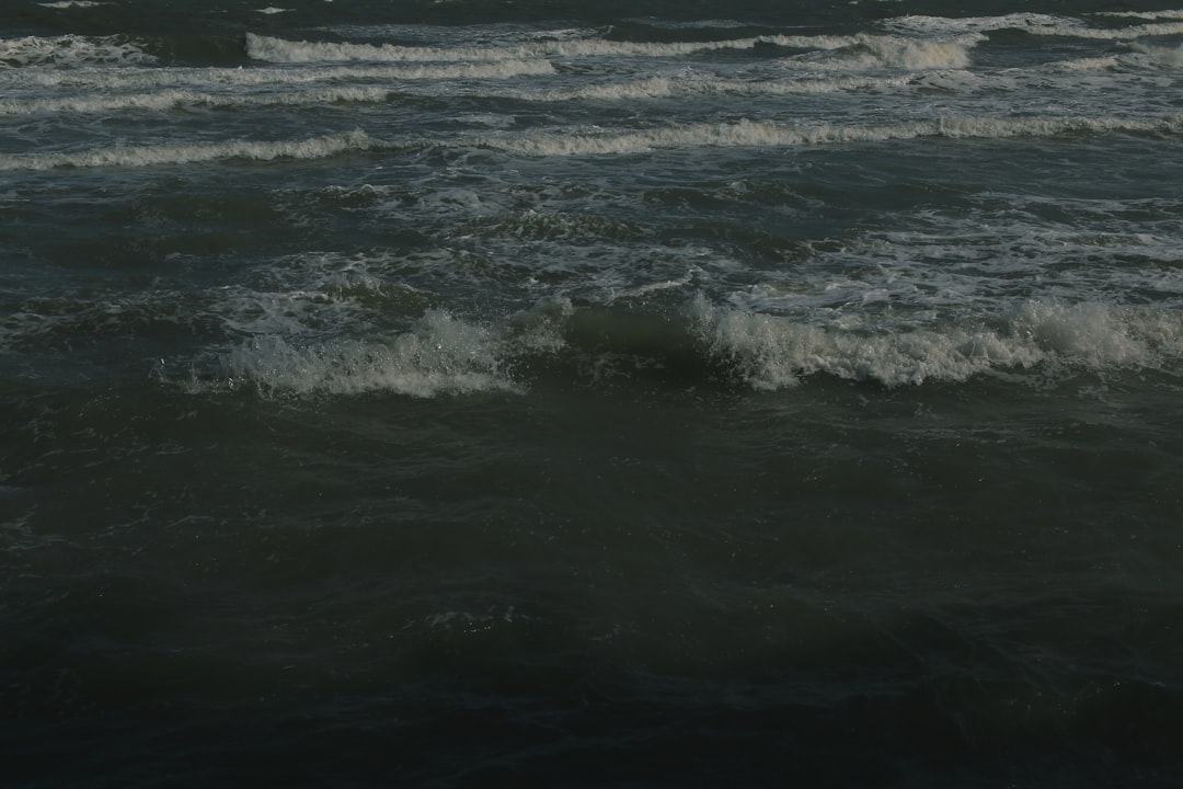 ばけばけ 池脇千鶴