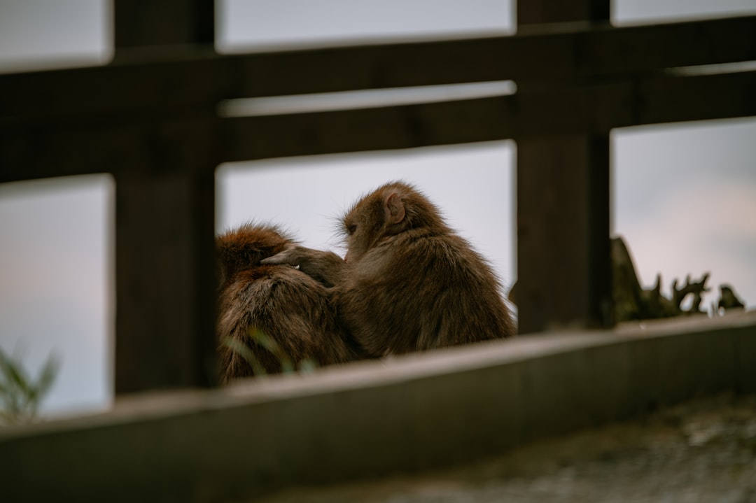 週刊文春 ゴジュウジャー
