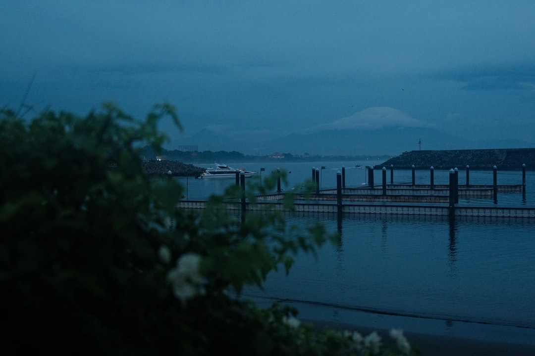 ばけばけ 池脇千鶴