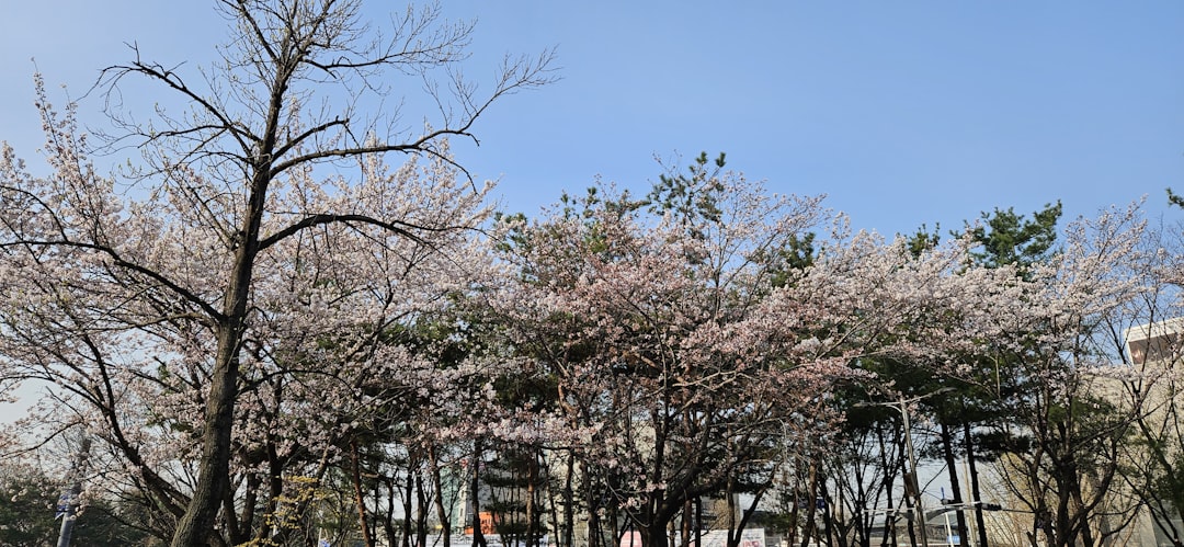 日本ハム 対 楽天