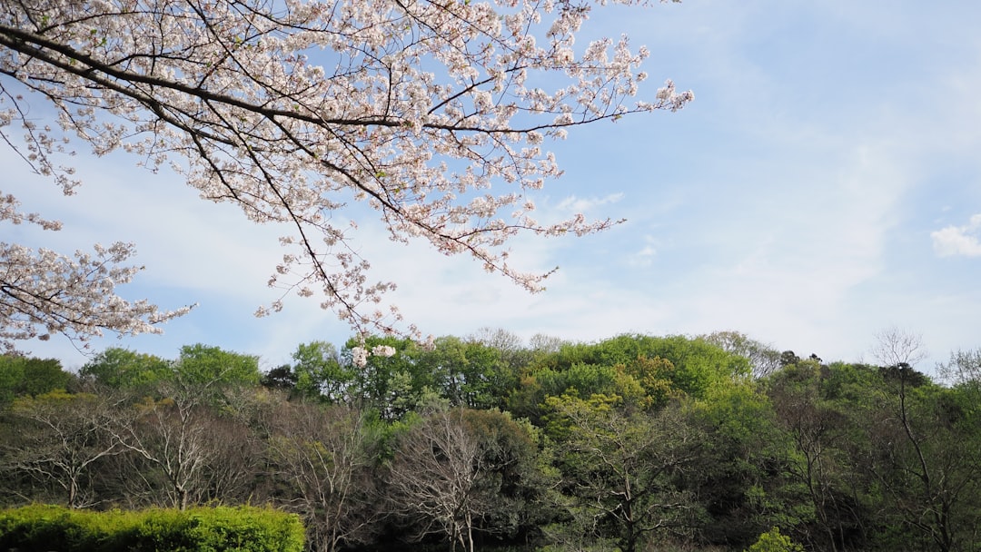 日本ハム 対 楽天