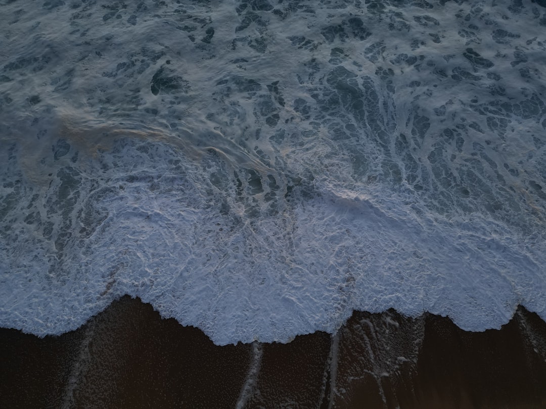 津波予報(若干の海面変動)