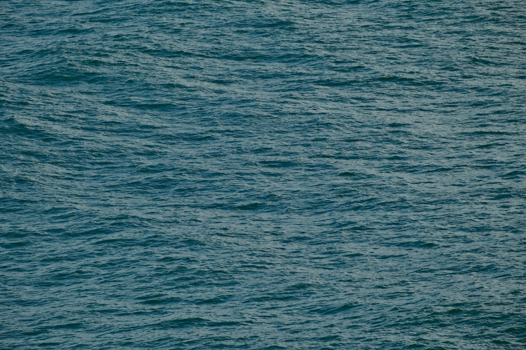 救命胴衣 釣り つり フローティング ベスト 救命 水遊び 海 ビーチ プール 大人用 夏用品 海水浴 安全 事故防止 防災用 海釣り 防災グッズ スタイリッシュ 鮎釣り 初心者 渓流釣り 魚釣り 川釣り 防災用品 船釣り aaa