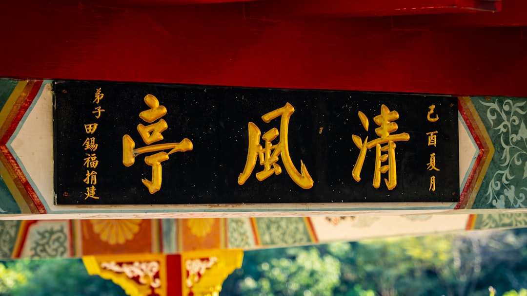 木村文乃 ラウール