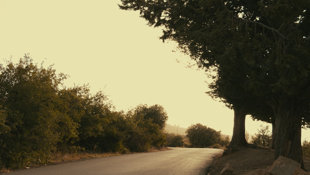 ドジャース 対 フィリーズ