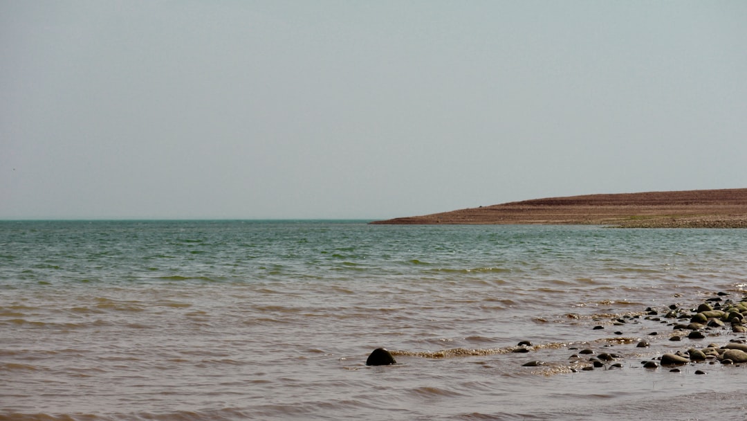 シャムシェイド