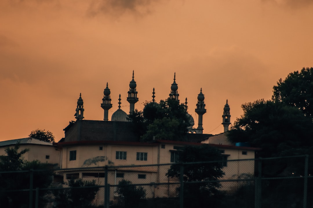 シャムシェイド