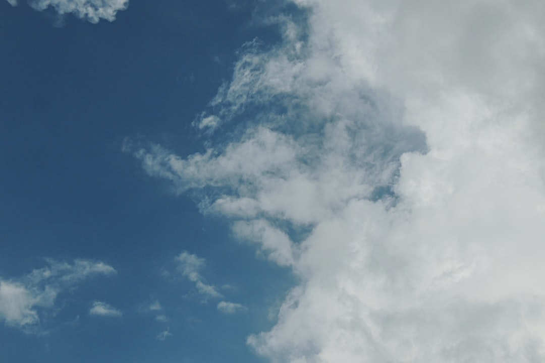 ばけばけ 池脇千鶴