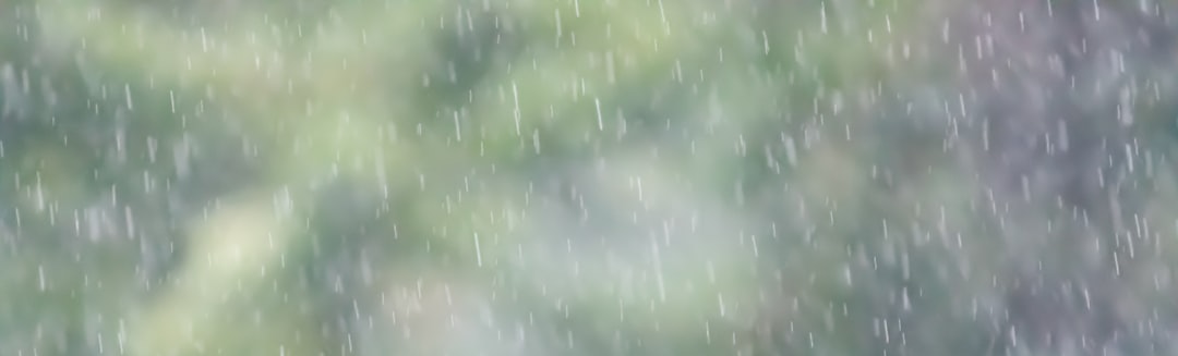 翌日発送　SNSで話題　踊るサボテン おもちゃ ダンスサボテン 揺動サボテン 面白い かわいい 笑い 友達 プレゼント 子供 悪趣味 歌 英語 緑 笑いもの 爆笑 踊るサボテン おもちゃ ダンスサボテン 揺動サボテン ぬいぐるみ いたずら 英語 緑 笑い