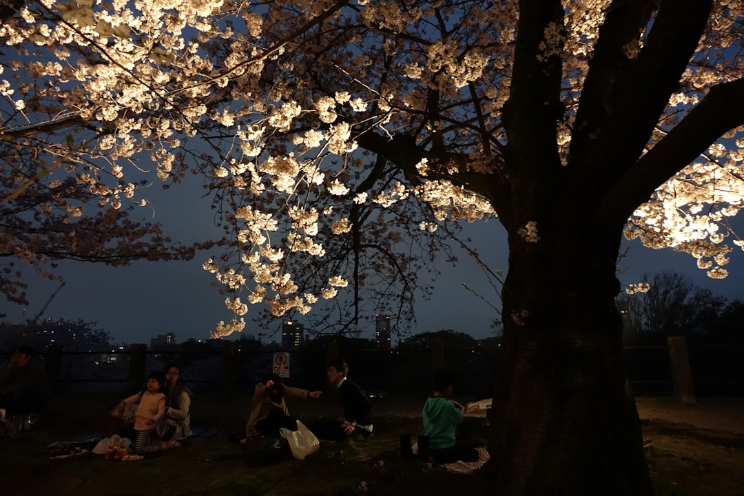 楽天 対 日本ハム