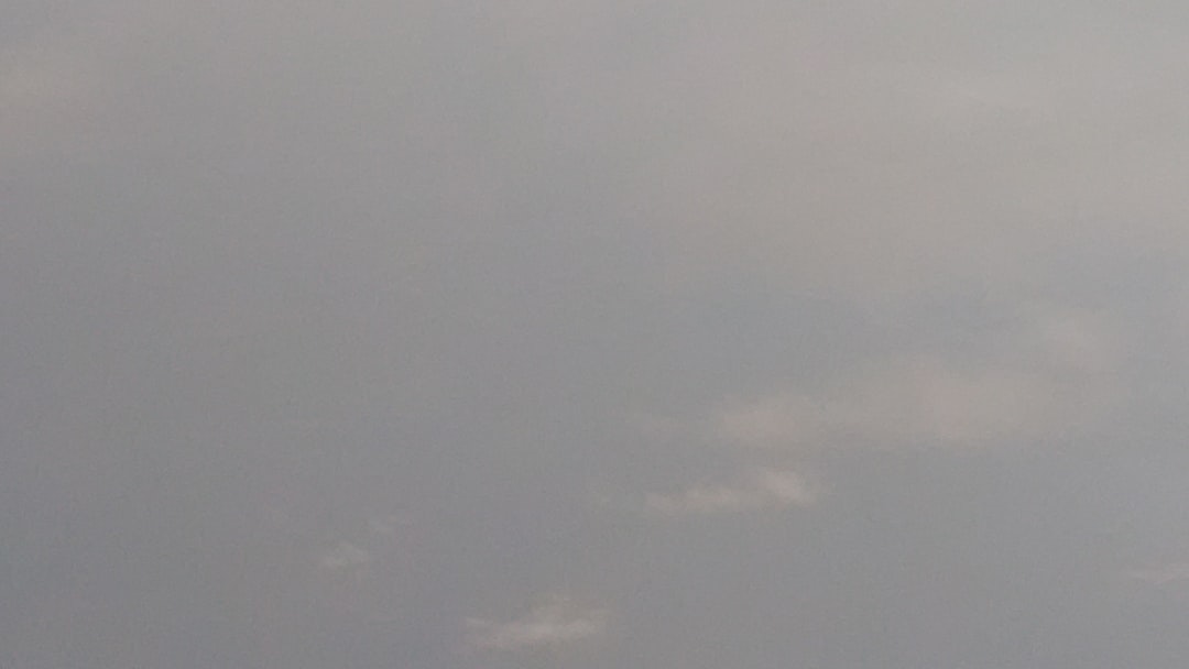 ヤクルト 対 阪神