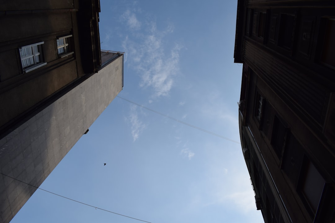 ケンタッキーフライドチキン