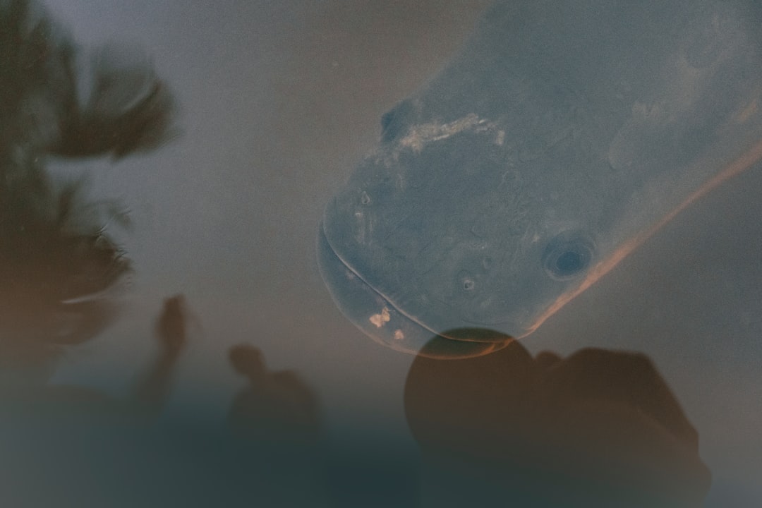 電気ケトル 小型 携帯用 コンパクト電気ケトル ミニケトル ポータブルケトル 沸騰後自動OFF 空焚き防止 蓋取り外し可能 コンパクト電気ポット 湯沸かし器 お手入れ簡単 キッチン用品