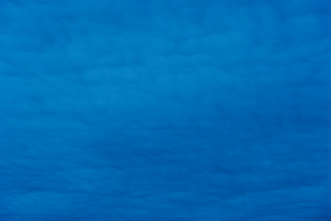 救命胴衣 釣り つり フローティング ベスト 救命 水遊び 海 ビーチ プール 大人用 夏用品 海水浴 安全 事故防止 防災用 海釣り 防災グッズ スタイリッシュ 鮎釣り 初心者 渓流釣り 魚釣り 川釣り 防災用品 船釣り aaa