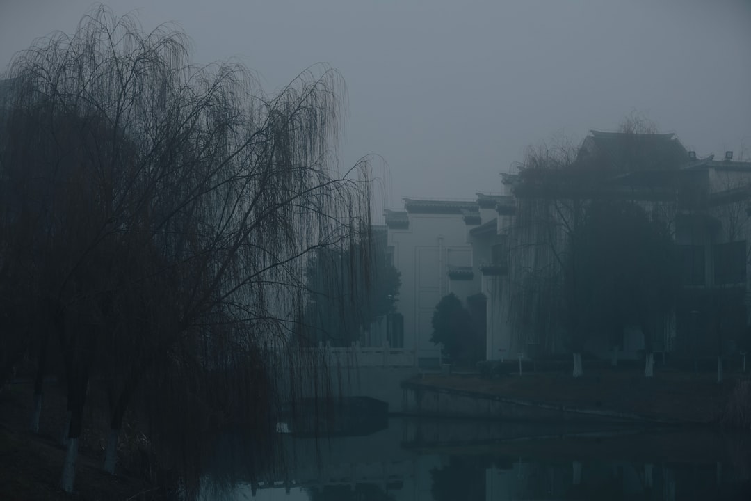 ばけばけ 池脇千鶴