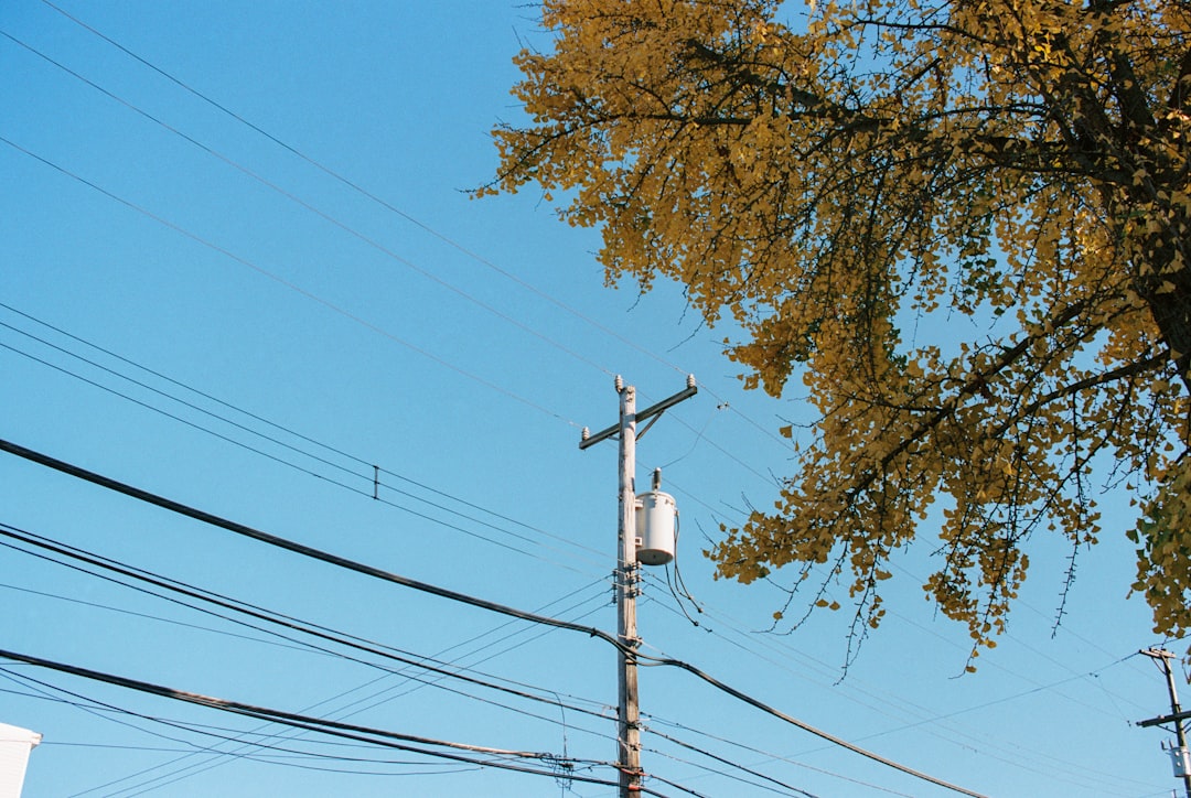 line 送信取り消し