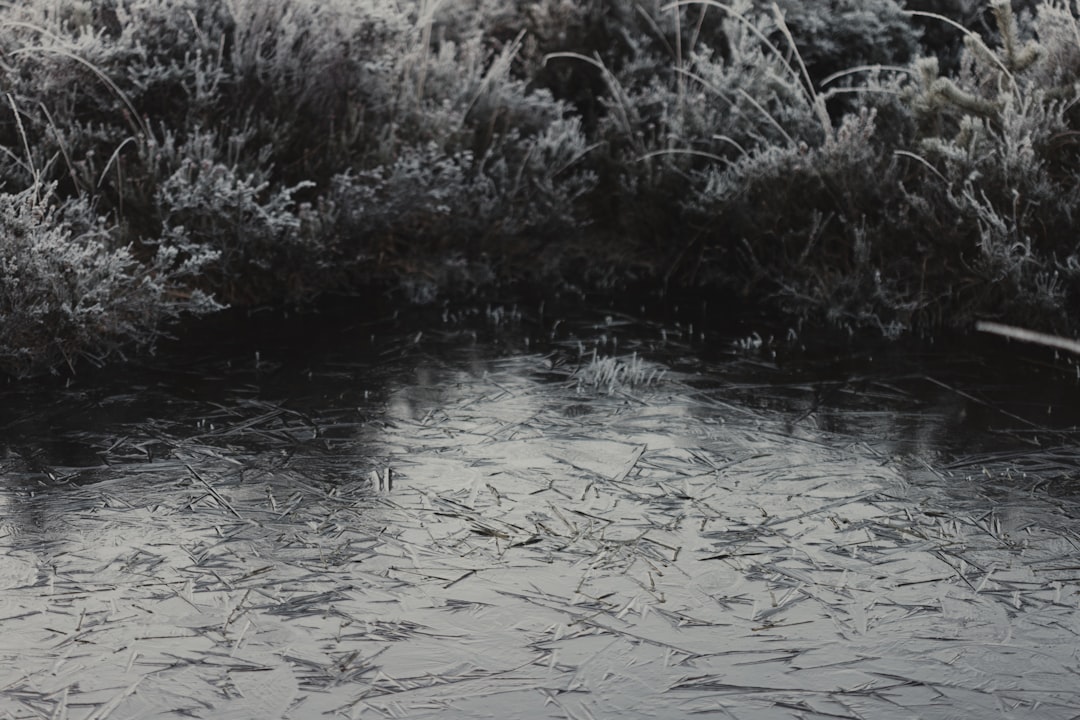 ロバートレッドフォード