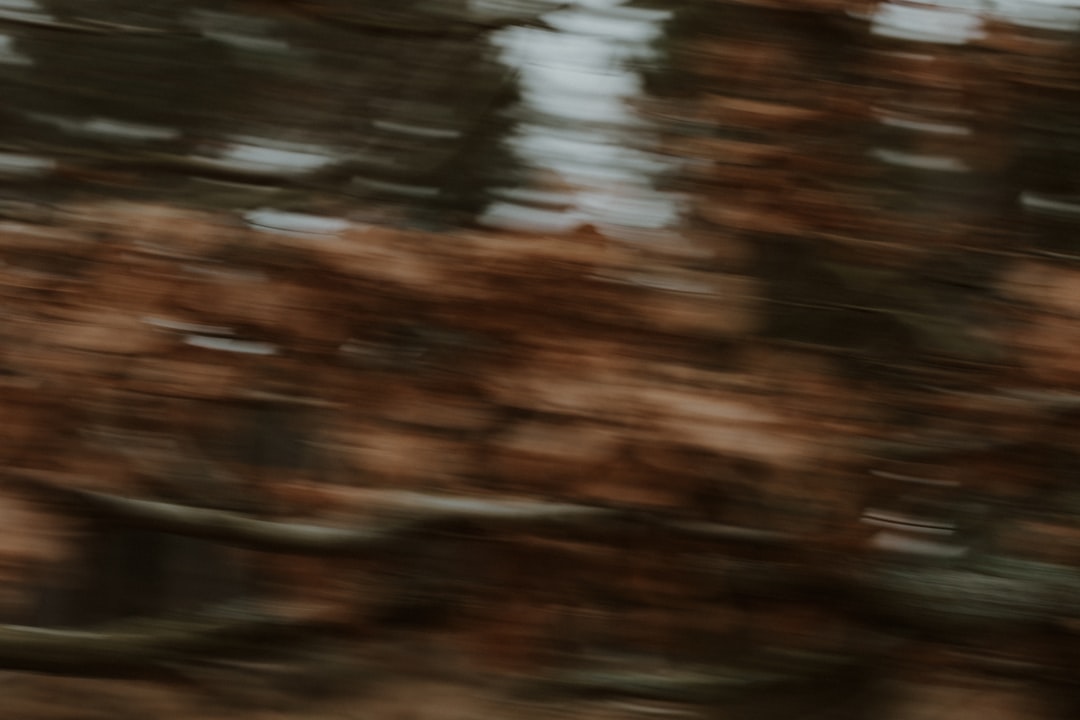 チャーリーカーク