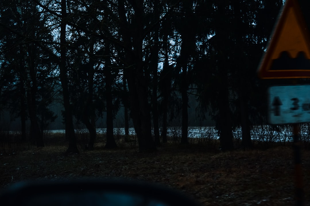 チャーリーカーク